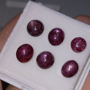 19.5 Carat Star Ruby Cabochon Lot, Untreated Gemstones