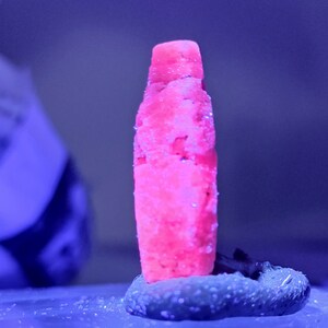 Könnte beinhalten: Eine leuchtend rosa Kristallformation, möglicherweise ein Mineral, steht auf einer strukturierten, hellgrünen Basis. Die Oberfläche des Kristalls ist rau und uneben, mit einem hellen, fast neonfarbenen Rosa. Der Hintergrund ist ein sanftes Blau.