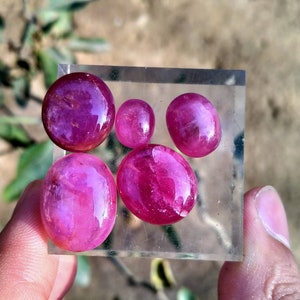 Peut inclure: Une collection de six rubis polis de forme ovale, de tailles vari&eacute;es. Les pierres pr&eacute;cieuses pr&eacute;sentent une teinte rouge profond et vibrante avec une surface brillante. Elles sont dispos&eacute;es sur une surface transparente et rectangulaire, avec un arri&egrave;re-plan flou de verdure et de tons terre.