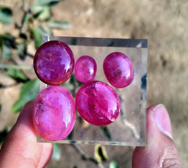 Peut inclure: Une collection de six rubis polis de forme ovale, de tailles vari&eacute;es. Les pierres pr&eacute;cieuses pr&eacute;sentent une teinte rouge profond et vibrante avec une surface brillante. Elles sont dispos&eacute;es sur une surface transparente et rectangulaire, avec un arri&egrave;re-plan flou de verdure et de tons terre.