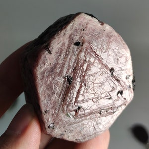 Puede incluir: Una gema de rubí en bruto, sin cortar, de color rojo rosado. La superficie tiene una textura con estructuras cristalinas visibles y pequeñas inclusiones negras. La gema se sostiene en una mano, mostrando su forma natural.