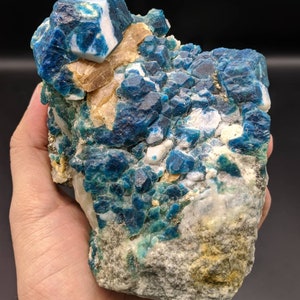 May include: A hand holding a cluster of vibrant blue crystals with white and tan accents. The mineral specimen has a rough, textured surface and a mix of crystalline formations. The overall appearance is natural and geological.