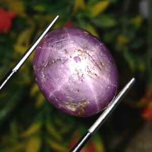 May include: A polished, oval-shaped, purplish-pink gemstone with a six-ray star effect. The gem is held by silver tweezers against a blurred green and yellow background. The stone has natural inclusions.