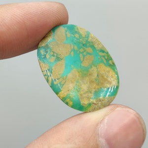 Può includere: Una gemma turchese di forma ovale con un motivo screziato di marrone chiaro e verde acqua. La pietra è tenuta tra due dita, mostrando la sua superficie lucida e le sue variazioni naturali. La gemma è una pietra naturale.