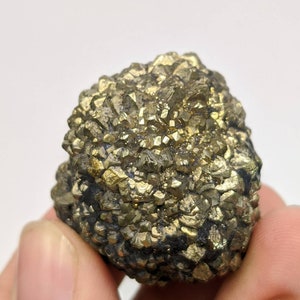 New find big size golden Marcasite cluster also called prophecy stone from a new find in Darra Adam Khel KPK Pakistan