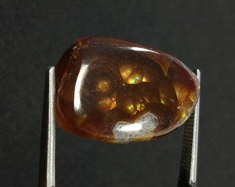 May include: A polished, cabochon-cut gemstone held by tweezers. The stone is a warm brown color with internal patterns and iridescent flashes. The gem has a smooth, rounded shape and is set against a dark background.