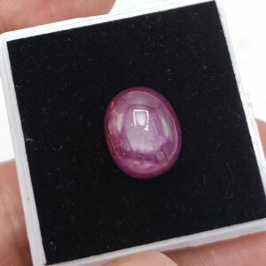 May include: A polished, oval ruby gemstone. The gem is a deep, saturated pinkish-red colour with a smooth, reflective surface. It is set against a black background within a white-edged display case.