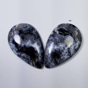 Pode incluir: Duas pedras preciosas em forma de gota com um padr&atilde;o marcante de redemoinhos e manchas pretas e brancas. As pedras polidas t&ecirc;m um acabamento brilhante e est&atilde;o sobre um fundo branco.