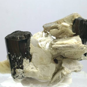 Top Quality beautiful natural 43.5 grams terminated cluster of black tourmaline with spessartine garnet Albite and muscovite mica