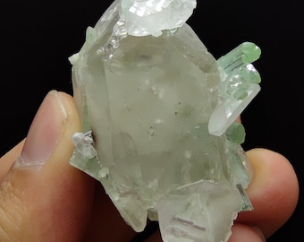 Smokey Quartz Crystal with Green Tourmaline from Afghanistan