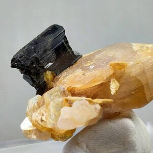 Natural top quality beautiful 18.8 grams Black tourmaline with apatite