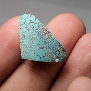 Puede incluir: Una piedra preciosa turquesa con un patr&oacute;n &uacute;nico de vetas marrones y negras. La piedra tiene forma triangular con una parte superior redondeada. La piedra se sostiene en una mano.