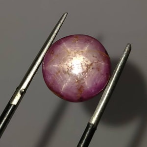 May include: A round, polished, star ruby gemstone, held by tweezers. The ruby is a deep pinkish-red color with a six-rayed star pattern visible on its surface. The tweezers are silver and black.