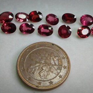 May include: A collection of oval-shaped, deep red gemstones displayed on a white background. A Euro coin is positioned at the bottom for scale. The gemstones exhibit slight variations in colour and clarity.