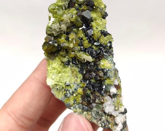 Andradite Garnet on matrix with green epidote and chlinochlore mica matrix from Afghanistan, 99 grams