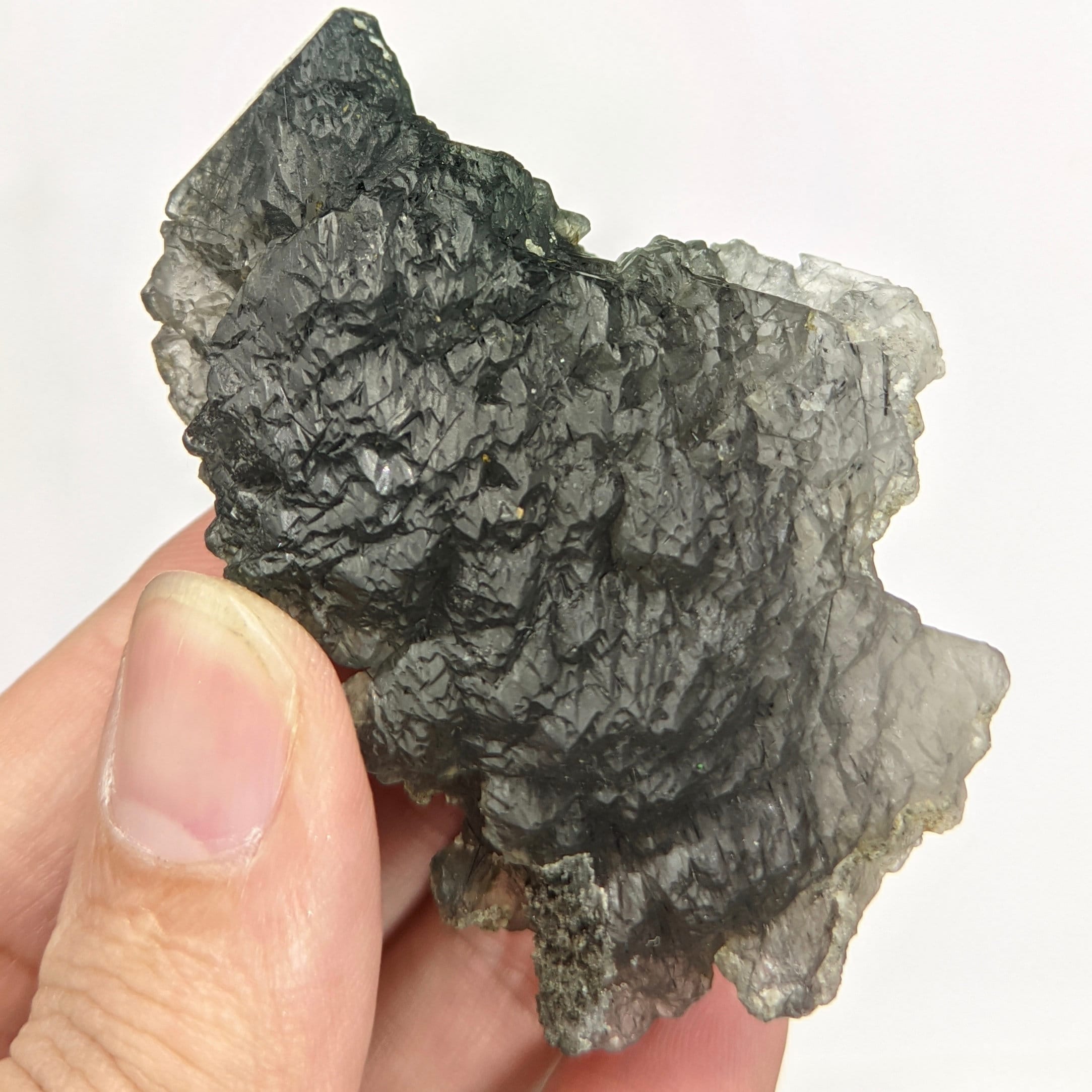 ◆RIETI◆ KYMA RT E6014 C3 DARK SILVER KYMARTE6014C3 Rare Blue Quartz with Magnesio-Riebeckite – 19g Museum-Grade