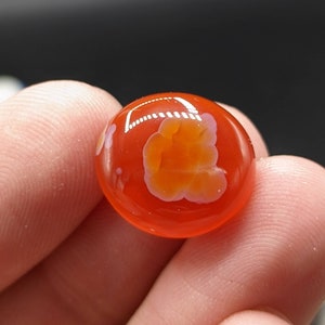 Natural fine quality beautiful 12.5 carats red agate cabochon with pattern on it