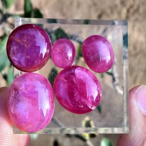 Peut inclure: Une collection de six pierres pr&eacute;cieuses polies, ovales et rondes, de couleur rose fonc&eacute;. Les pierres sont pr&eacute;sent&eacute;es sur une surface rectangulaire transparente, tenue par une main. Les pierres ont une surface brillante et r&eacute;fl&eacute;chissante.