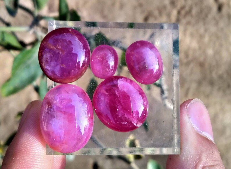 Peut inclure: Une collection de six pierres pr&eacute;cieuses polies, ovales et rondes, de couleur rose fonc&eacute;. Les pierres sont pr&eacute;sent&eacute;es sur une surface rectangulaire transparente, tenue par une main. Les pierres ont une surface brillante et r&eacute;fl&eacute;chissante.