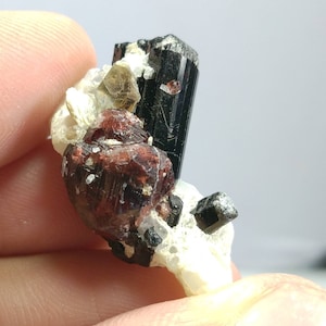 Top Quality beautiful natural 8 grams amazing terminated cluster of black tourmaline with spessartine garnet Albite and muscovite mica