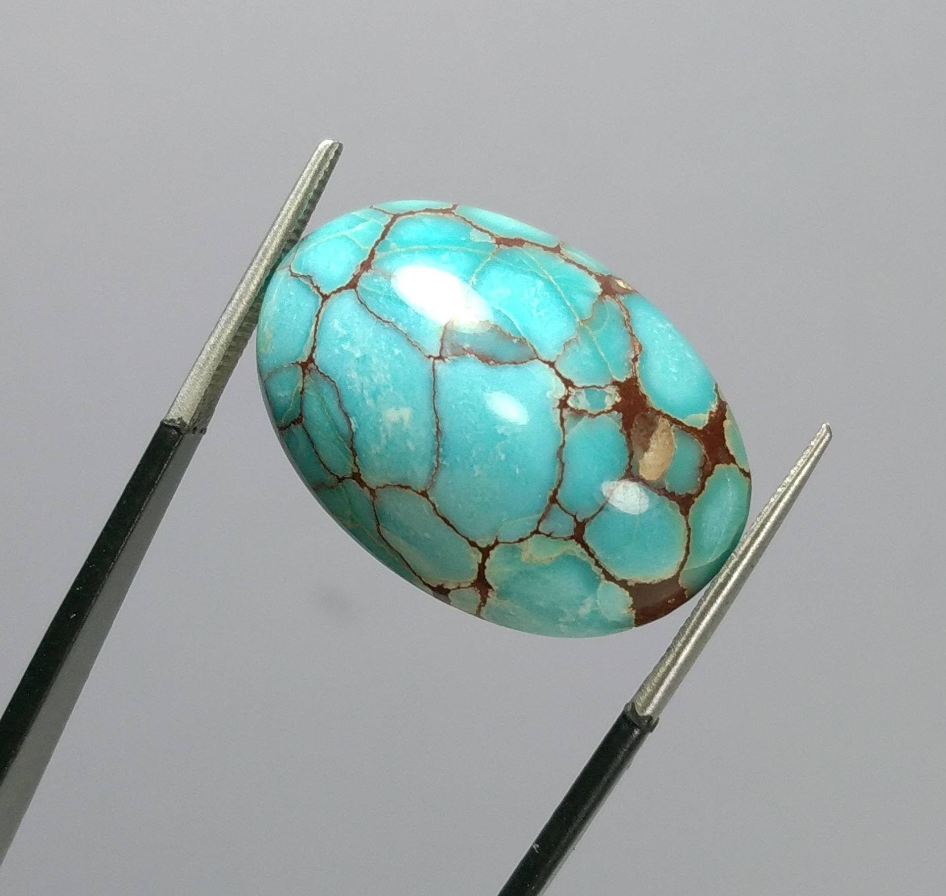 スパイダーウェブターコイズ - Etsy 日本