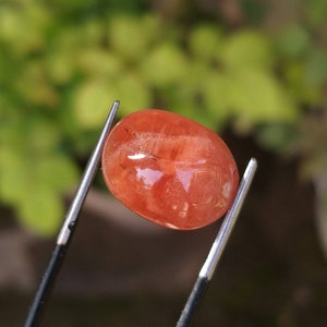 以下が含まれることがあります： ぼやけた緑色の背景を背景に、銀色のピンセットで保持された、磨かれた楕円形のオレンジレッドの宝石。 宝石は、微妙な内部パターンとインクルージョンを備えた、滑らかで反射性の表面を持っています。 ピンセットは黒とシルバーです。