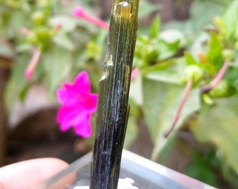 Double Terminated Green Tourmaline Crystal, Pakistan