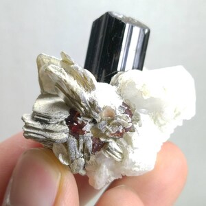 Natural top quality beautiful 40.2 grams rare black tourmaline crystal with spessartine garnet and mica