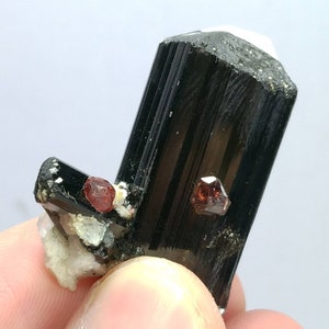 Top Quality beautiful natural 15 grams amazing terminated cluster of black tourmaline with spessartine garnet and albite