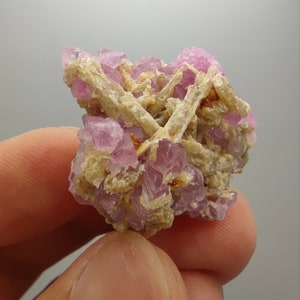 May include: A cluster of pink mineral crystals with a beige matrix. The crystals are small and clustered together, with a slightly rough texture. The beige matrix has a fibrous appearance, creating a contrast with the pink crystals.