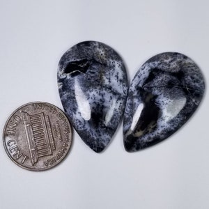 Pode incluir: Dois caboch&otilde;es de &aacute;gata dendr&iacute;tica em forma de gota, com padr&otilde;es em preto e branco. Uma moeda de um centavo americano est&aacute; ao lado das pedras para compara&ccedil;&atilde;o de tamanho. Acabamento polido e brilhante.