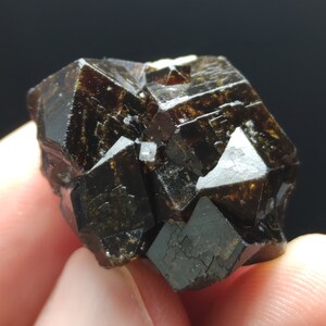 Natural Dark brown Andradite garnet cluster, Well formed crystal, 15 grams
