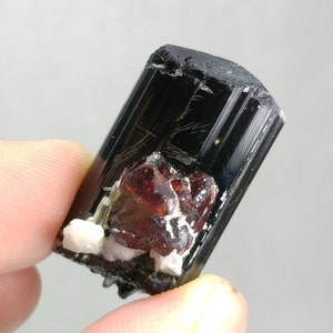 Natural top quality 13.3 grams very rare amazing terminated crystal of  black Tourmaline with Spessartine garnet