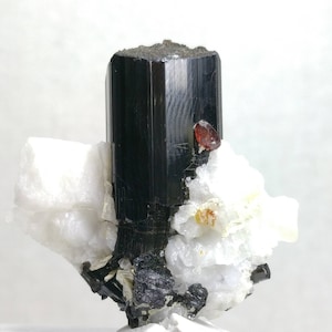 Natural top quality 18.8 grams very rare terminated crystal of  black Tourmaline with Spessartine garnet and Albite matrix.