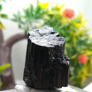 May include: A raw, black tourmaline crystal. The gemstone has a rough, textured surface with vertical striations. The crystal is displayed against a blurred background of green foliage and red flowers.