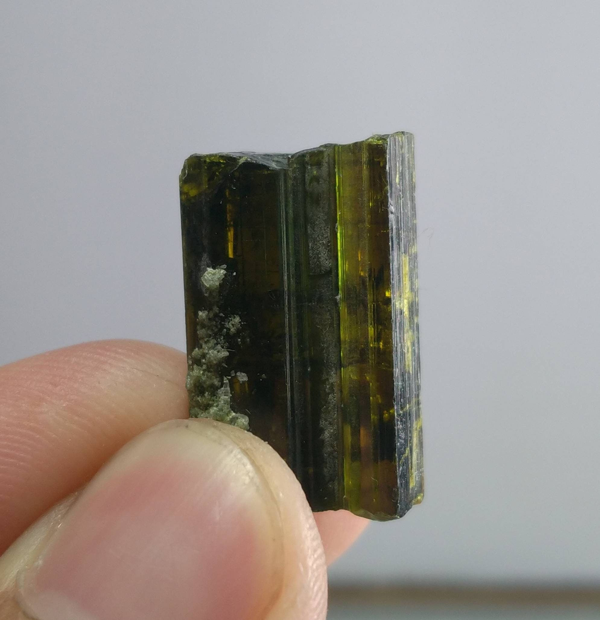 緑色の半透明な石 天然の透明で美しい5.7グラムの、完璧に仕上げられた美しい多色性緑簾