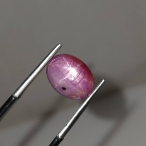 Può includere: Una gemma di rubino ovale e lucidata, tenuta da una pinzetta d'argento. Il rubino ha una tonalità rosso-rosata intensa con strutture interne visibili. È presente una piccola inclusione scura sulla superficie.