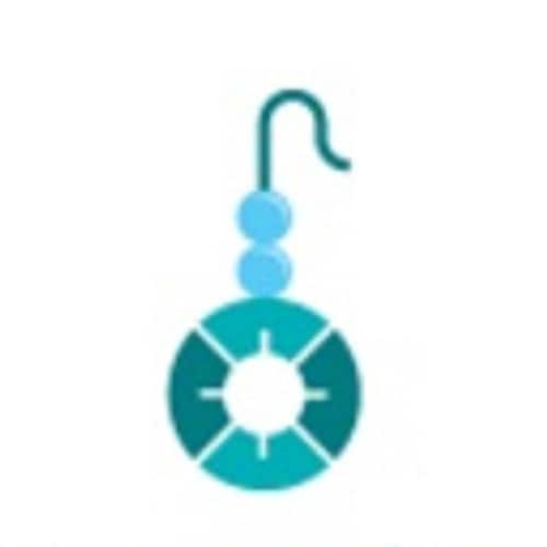 パキスタン、ギルギット・バルティスタン州スカルドゥ産の単端無色透明