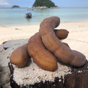 Fake Tamarind Brown Artificial Plastic Food Green Home Decor Fake Fruit
