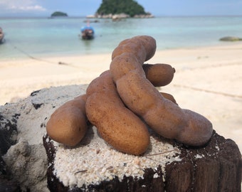 Gefälschte Tamarind braun künstliche Kunststoff Essen grün Home Decor gefälschte Frucht