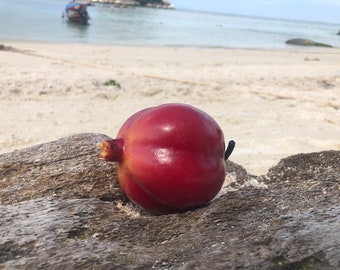 Gefälschte Frucht Granatapfel rot künstliche Kunststoff Essen grün Home Decor gefälschte Obst