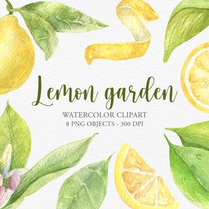 Aquarell Zitrone Clipart, Sommer Aquarell Clipart, handgemalt. Lemons Clipart, SommerParty Einladungen, Citrus Scrapbook, PNG, 300dpi
