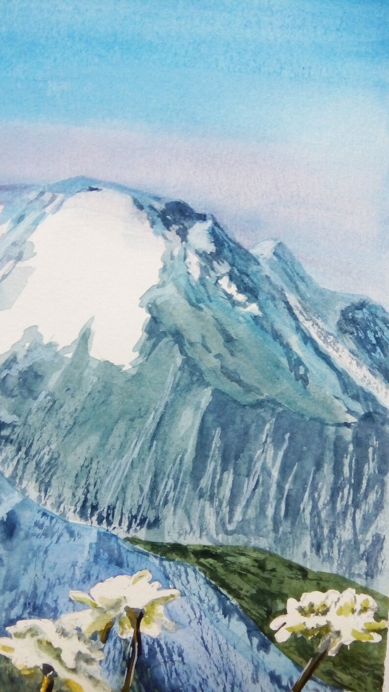 Edelweiss mountain flower watercolor Original paintings Etsy