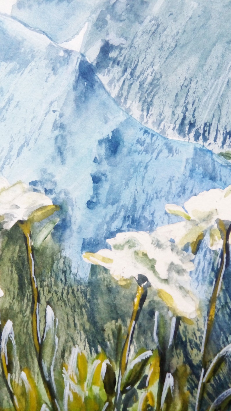 Edelweiss mountain flower watercolor Original paintings Etsy
