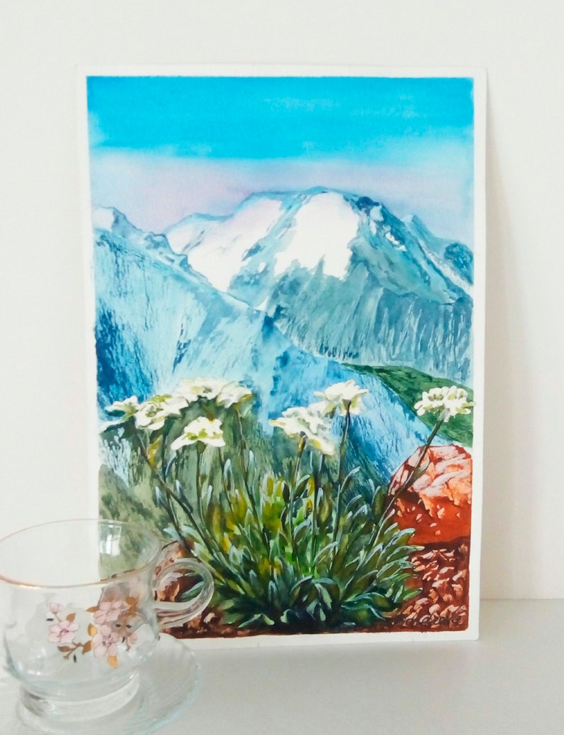 Edelweiss mountain flower watercolor Original paintings Etsy