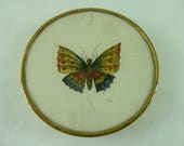 Antique Display Box Bonbon Painted Glass Verre églomisé Butterfly Ormolu French