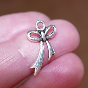 Pode incluir: Encanto de prata em forma de laço com um laço na parte superior para prender a um colar ou pulseira.