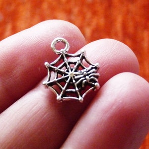 May include: Silver charm featuring a spider's web with a spider in the centre. The charm is ideal for jewellery making or adding a spooky touch to crafts.