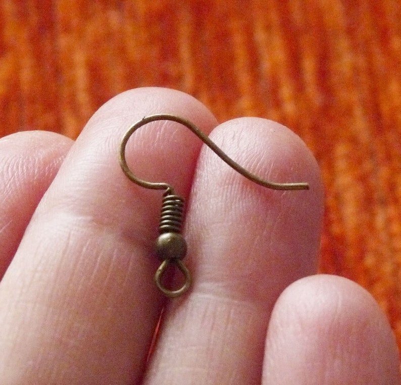 May include: A bronze earring hook with a spring clasp.