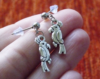 Cockatoo Parrot  Hypoallergenic Ball Stud Earrings U085